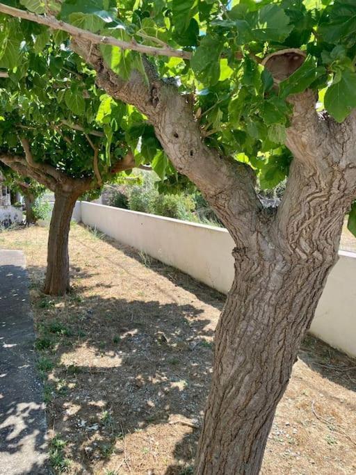 דירות Aetos  Τέσσερις Εποχές מראה חיצוני תמונה